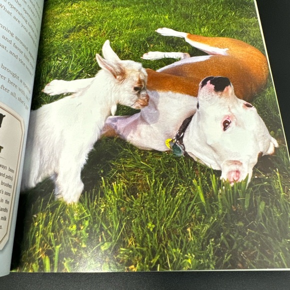 UNLIKELY FRIENDSHIPS BY JENNIFER S. HOLLAND 47 STORIES FROM THE ANIMAL KINGDOM - Picture 6 of 8